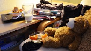 O čem vypovídá náš nepořádek? image:Image O čem vypovídá náš nepořádek?