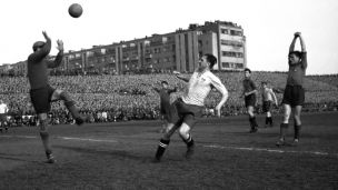 Některé překážky nesmíš podlézt image:Image Některé překážky nesmíš podlézt