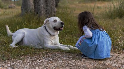 image:Image Příliš péče dítěti škodí