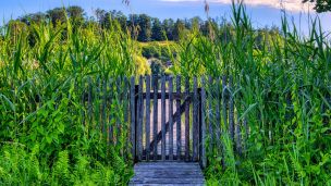 image:Image Bůh nechává dvířka pootevřená