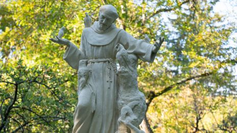 Sv. František se vrací do vídeňského parku image:Image Sv. František se vrací do vídeňského parku