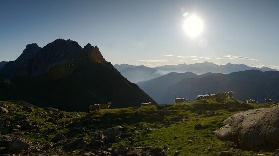 image:Image Vždyť Hospodina můžeme najít v každé chvíli a ve všem: v přírodě, v dějinách Božího lidu, ve tváři bližního, ba i v každé životní zkušenosti.