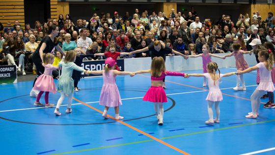 image:Image Orelská exhibice nabídla 27 vystoupení.