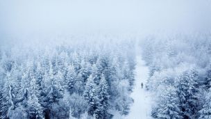 Nechte se překvapit tichem image:Image Nechte se překvapit tichem