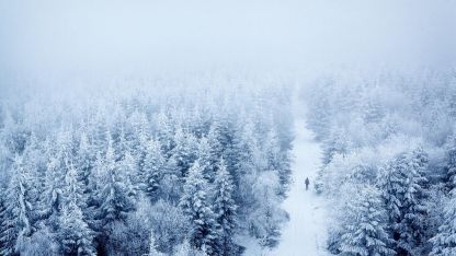 Nechte se překvapit tichem image:Image Nechte se překvapit tichem