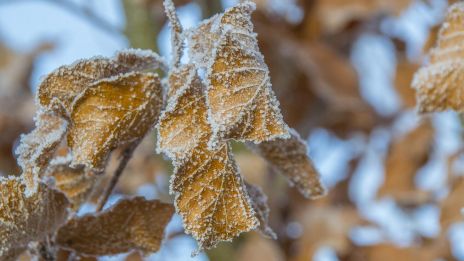 Objevit svůj ostrůvek ticha image:Image Objevit svůj ostrůvek ticha