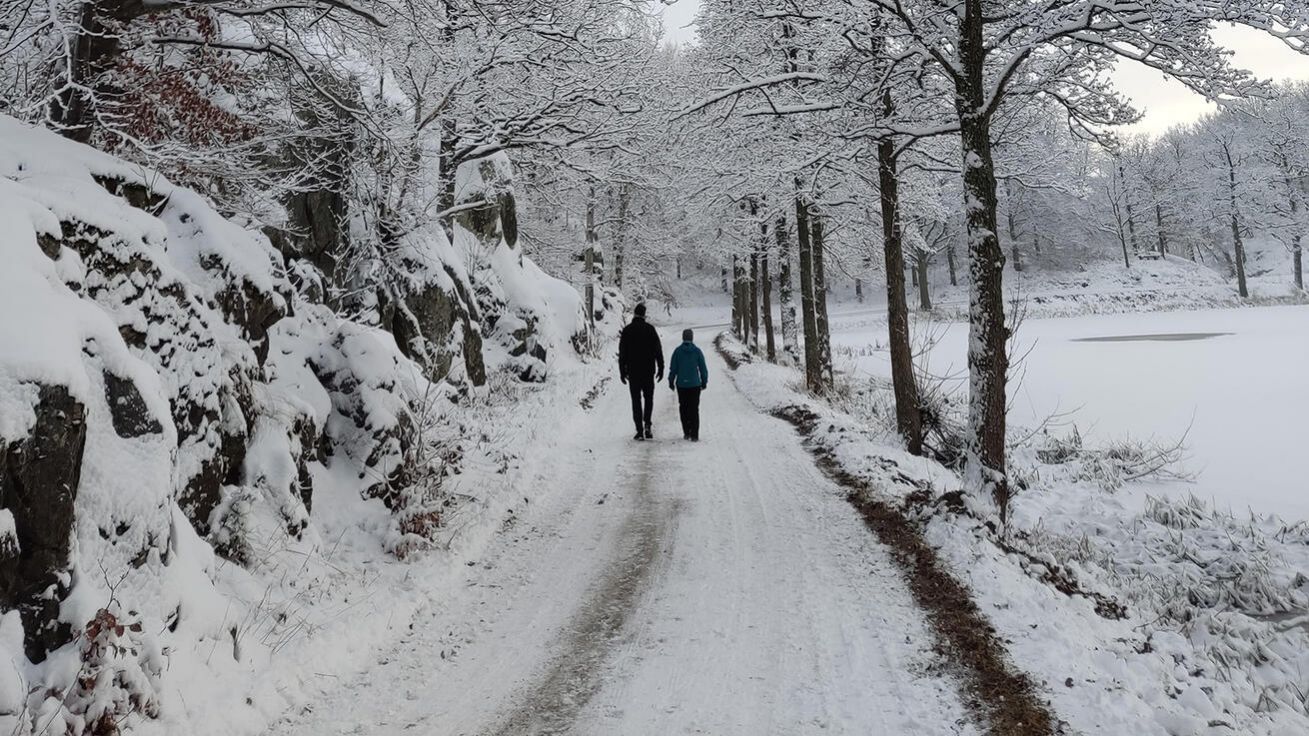 image:Image Napadl sníh. Příležitost pro všední a přitom nevšední odpolední procházku.