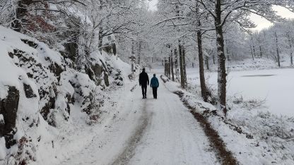 Rutina, kterou potřebujeme image:Image Rutina, kterou potřebujeme