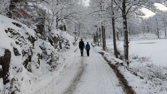 image:Image Rutina, kterou potřebujeme