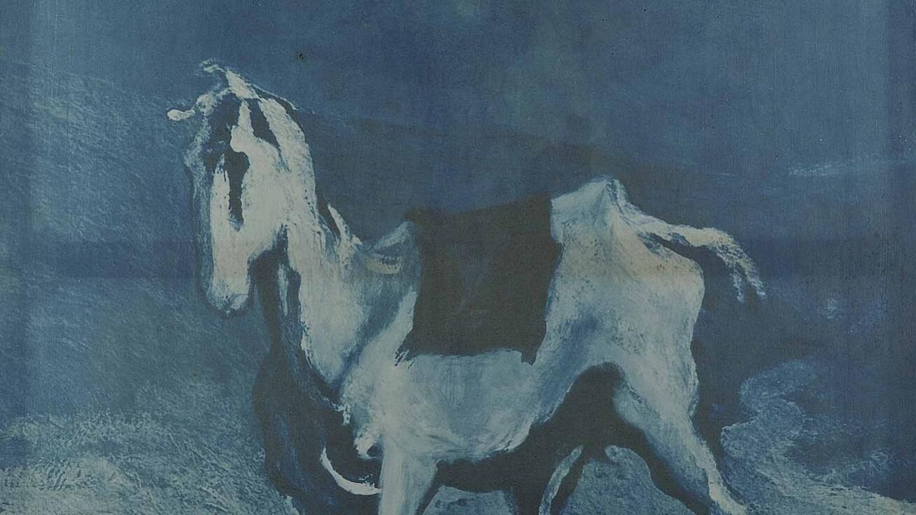 image:Image Na svého Dona Quijota a společnou cestu za dobrodružstvím marně čeká Rosinanta Jiřího Koláře z konce 60. let. 