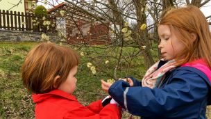 image:Image Výprava na kočičky