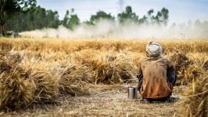 Kristus sám oddělí pšenici od plevele image:Image Kristus sám oddělí pšenici od plevele