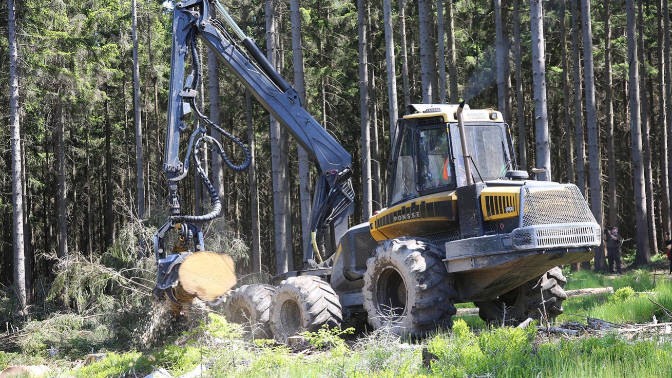 image:Image Harvestor zbavuje kmen stromu kůry, v níž se nachází kůrovec.