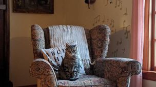 image:Image Jsou místa, kde je vám dobře