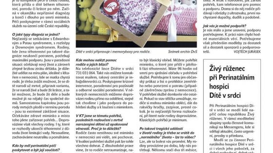 image:Image Živý růženec při Perinatálním hospici Dítě v srdci