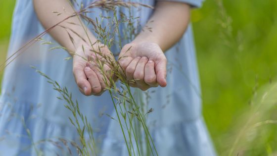 image:Image Nezůstat v bolesti osamoceni