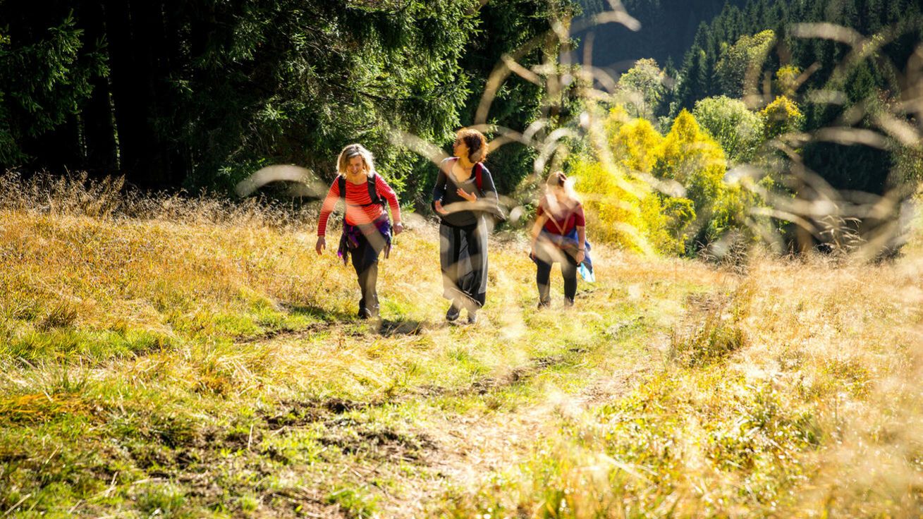 image:Image Vzít svůj „batoh starostí“ vyvětrat někam do přírody.