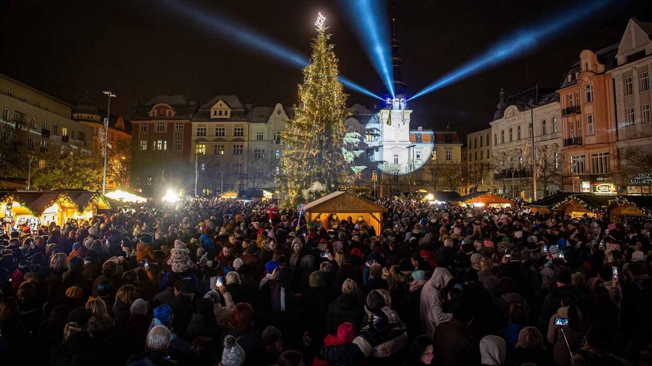 image:Image Vánoční strom na ostravském Masarykově náměstí vyrostl v Biskupských lesích.