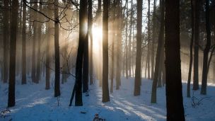 Netrpělivost, nebo bytí v přítomnosti? image:Image Netrpělivost, nebo bytí v přítomnosti?