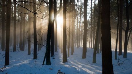 image:Image Netrpělivost, nebo bytí v přítomnosti?