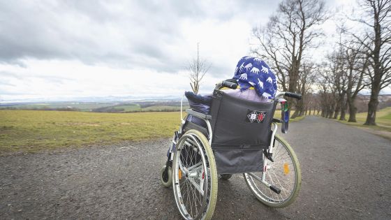 image:Image Přestože byla paní Marie odkázána na invalidní vozík, zvládla se za pomoci pečovatele a terapeutky ještě podívat na horu Říp. 