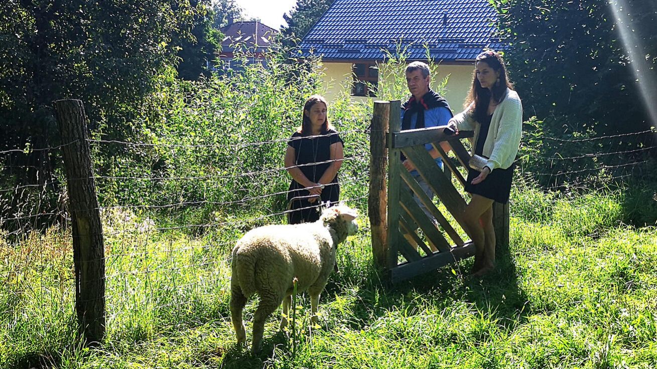 Ovce ani slepice se nejmenují. „Děti pak nemají sklon věnovat se jen těm ‚svým‘, ale starají se o všechny,“ podotýká Vendula Zachovalová (na snímku vlevo vedle P. Jiřího Kani). image:Image Ovce ani slepice se nejmenují. „Děti pak nemají sklon věnovat se jen těm ‚svým‘, ale starají se o všechny,“ podotýká Vendula Zachovalová (na snímku vlevo vedle P. Jiřího Kani).