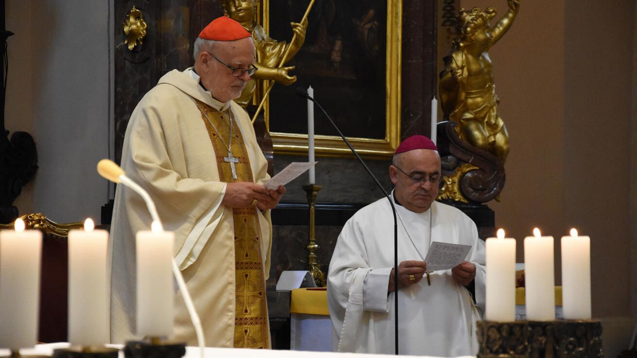 image:Image Švédský biskup Arborelius při mši sv. ve strahovské bazilice.