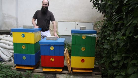 image:Image U karmelitánů se včelám daří