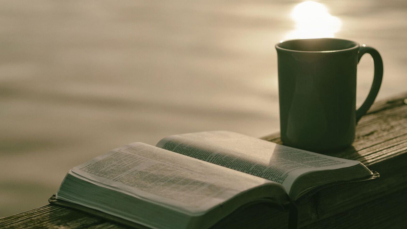 Bible není trhací kalendář, jejímiž citáty budeme obhajovat své postoje či soudit druhé. image:Image Bible není trhací kalendář, jejímiž citáty budeme obhajovat své postoje či soudit druhé.