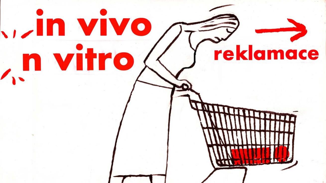 image:Image 