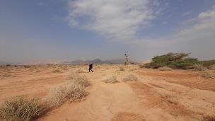 image:Image Přes poušť vede Bůh ke svobodě