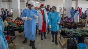 image:Image Choleru krotí i díky Adopci na dálku