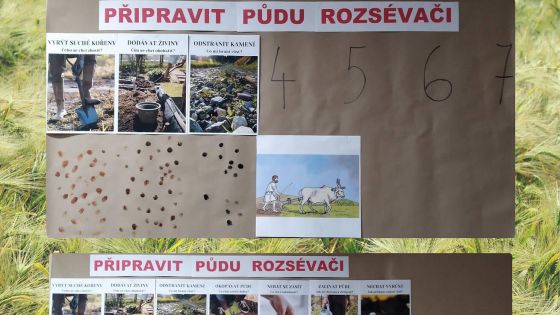 image:Image Tak může vypadat rozsévačovo pole u vás doma na zdi.