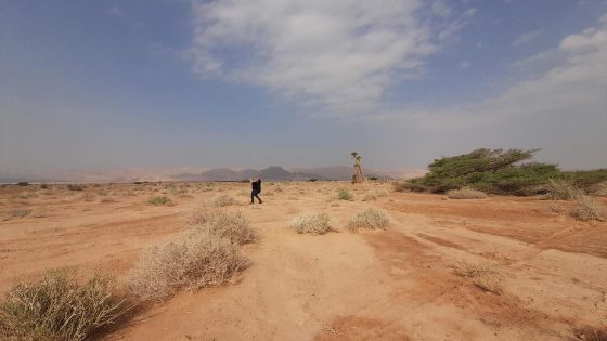 image:Image Přes poušť vede Bůh ke svobodě