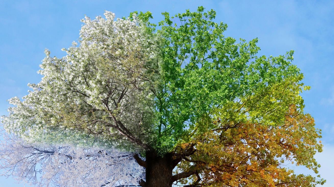 image:Image Dovolená u moře, táboráky, ale i odhánění komárů nebo čekání ve frontě na lístek na hrad. S tím vším je spojené léto. Druhý díl pořadu Barvínek, který se celý březen točí kolem ročních období, naladíte 12. března.  