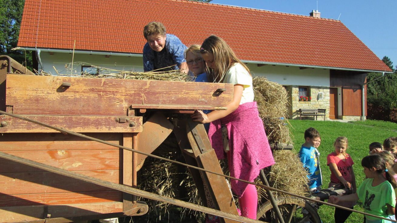 image:Image Obilí, které si vypěstovali na Trochtově poli, si školáci také sami vymlátí.