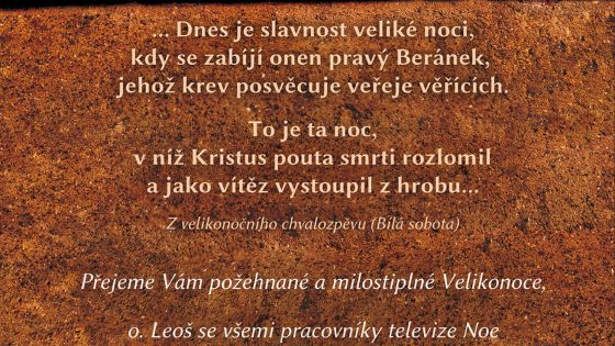 image:Image 