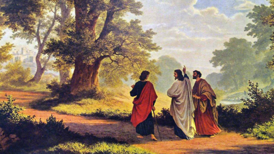 image:Image 