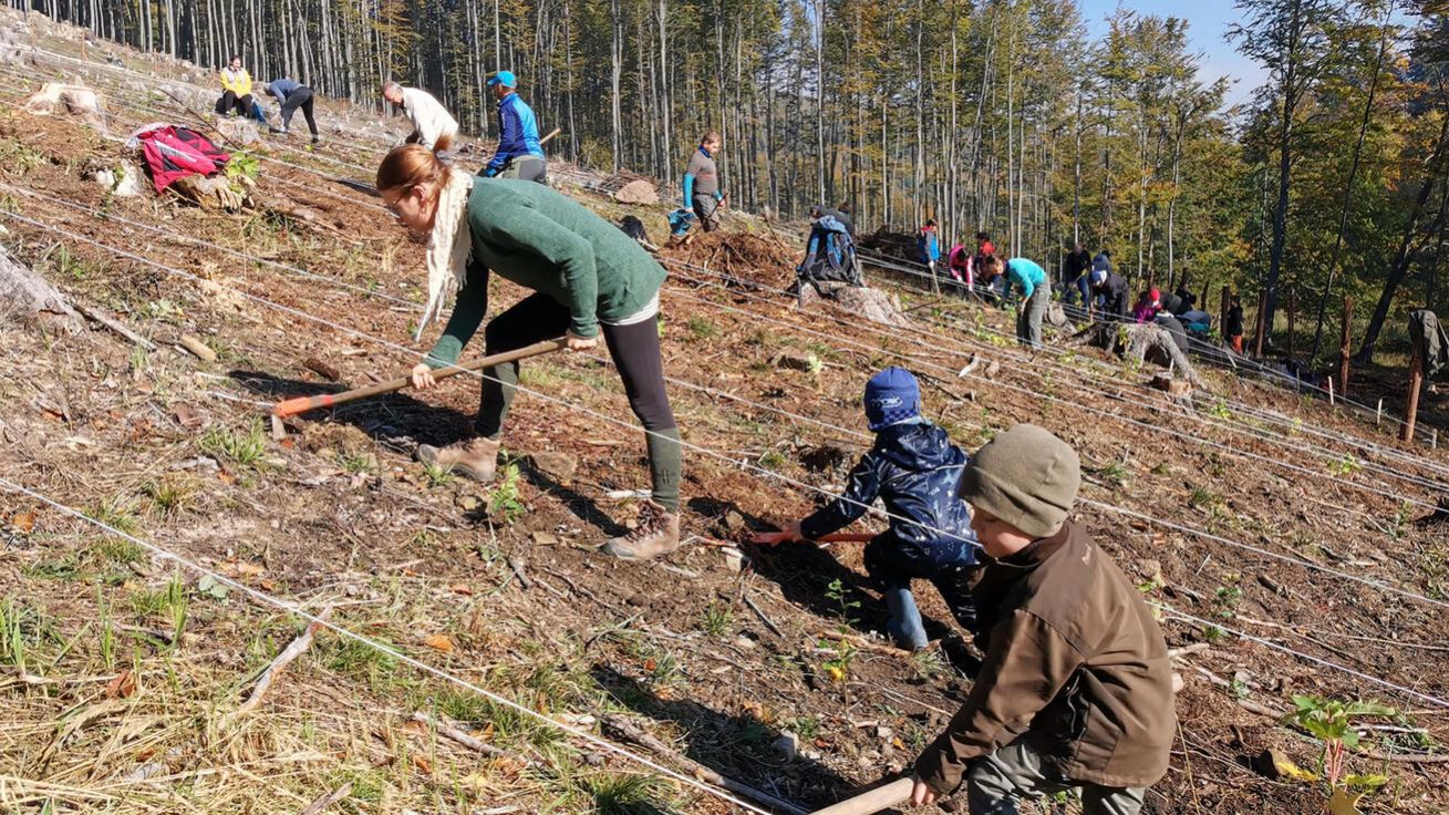image:Image Sázet les přijely celé rodiny.