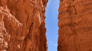 image:Image Rozkol společnosti je hluboký