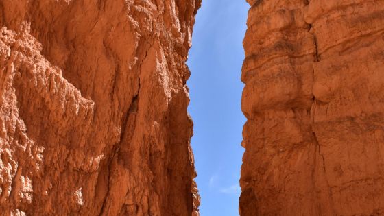 image:Image Rozkol společnosti je hluboký