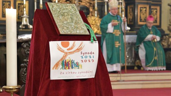 image:Image Biskup zahájil synodu, nyní jsou na řadě farnosti