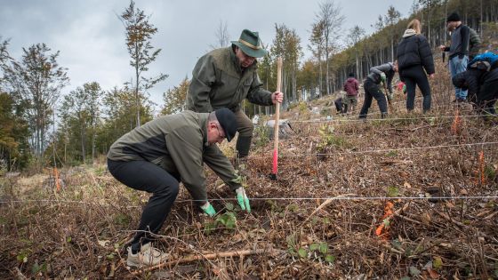 image:Image 