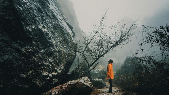 image:Image Proč mladí lidé zůstávají sami?