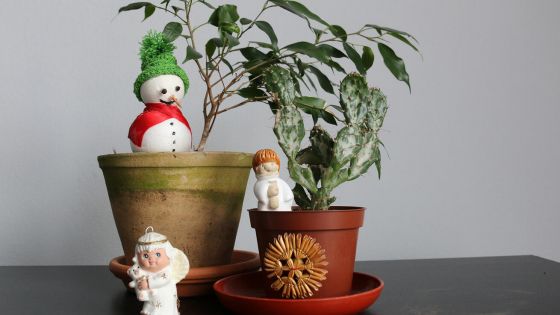 image:Image Kytičkový kalendář