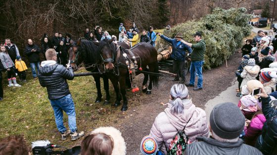 image:Image Vykročme do adventu