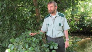 image:Image Les vyžaduje pokoru a respekt