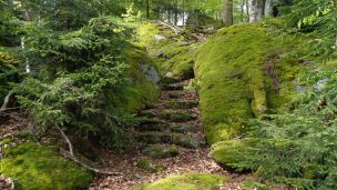 O chůzi, která nespěchá image:Image O chůzi, která nespěchá