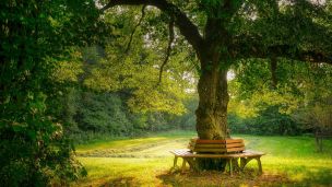 image:Image Nebojte se a trochu si odpočiňte