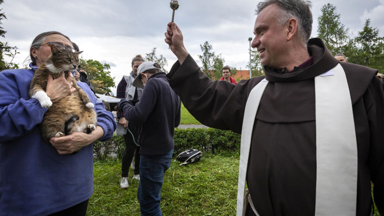 V našich farnostech se už zabydlelo žehnání domácích zvířátek, nejčastěji kolem svátku jejich patrona sv. Františka z Assisi. image:Image V našich farnostech se už zabydlelo žehnání domácích zvířátek, nejčastěji kolem svátku jejich patrona sv. Františka z Assisi.